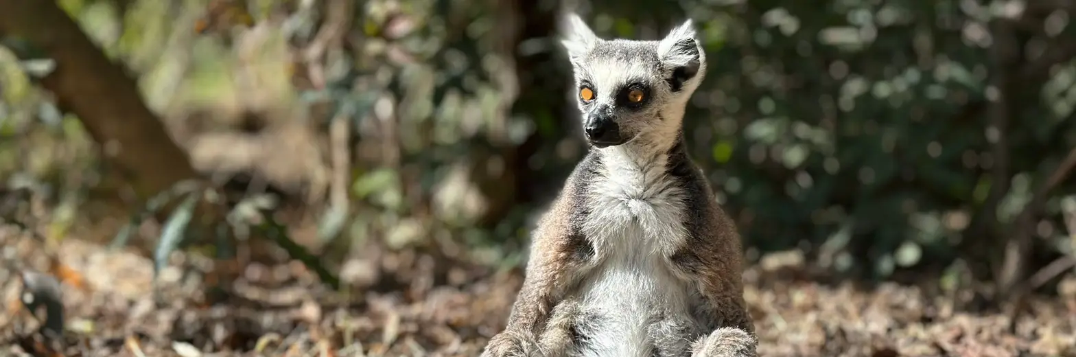 Madagaskar – ostrov, kde lidé žijí přítomným okamžikem